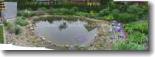Ein Garten (Gemüsebeet) wird zu einer Gartenoase mit Teich umgestaltet-nachher1