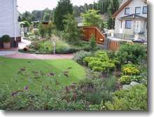 Blick in einen neu gestalteten Garten nach 1 Jahr