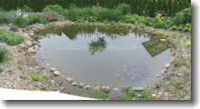 Ein Garten (Gemüsebeet) wird zu einer Gartenoase mit Teich umgestaltet-nachher nah